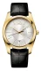 Calvin Klein Gent Strive Yellow Gold PVD K0K21520