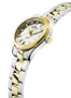 Zdjęcie 2 Alpina Comtesse Sport Quartz AL-240MPW2C3B