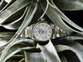 Zdjęcie 3 Alpina Comtesse Sport Quartz AL-240MPW2C3B