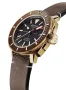  Zdjęcie 2 Alpina Seastrong Diver 300 Automatic AL-525LBBR4V4