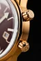  Zdjęcie 4 Alpina Seastrong Diver 300 Heritage AL-525BRC4H4