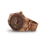  Zdjęcie 4 Aviator Airacobra GMT Bronze PVD V.1.37.8.306.5