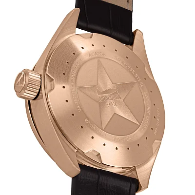 Aviator Airacobra P42 Date V.1.22.2.149.0