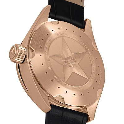 Aviator Airacobra P42 Date V.1.22.2.152.4