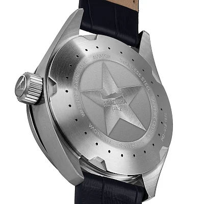 Aviator Airacobra P42 Date V.1.22.0.190.4