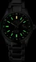  Zdjęcie 2 Ball Engineer III Endurance 1917 GMT COSC Chronometer Limited Edition 904L GM9100C-S2C-GY