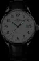  Zdjęcie 2 Ball Trainmaster Standard Time 135 Anniversary Limited Edition NM3288D-LLJ-WH