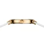  Zdjęcie 5 Bering Classic Lady 14531-630