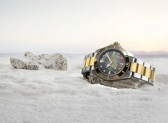 Certina DS Action Diver Lady 34mm Ceramic Powermatic 80 Diamonds C032.007.22.126.00