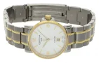  Zdjęcie 2 Certina DS Caimano Lady Titanium C017.210.55.037.00