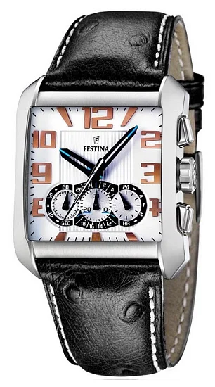 Festina Timeless Chronograph F16294/1