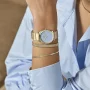 Zdjęcie 2 Cluse Feroce Petite Gold Light-Blue Dial CW11203
