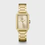  Zdjęcie 4 Cluse Fluette Gold Champagne Dial and Chain Bracelet Set CG11507