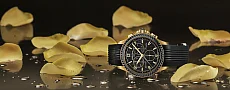  Zdjęcie 4 Certina DS First Lady Chrono Ceramic Precidrive PVD C030.217.37.057.00