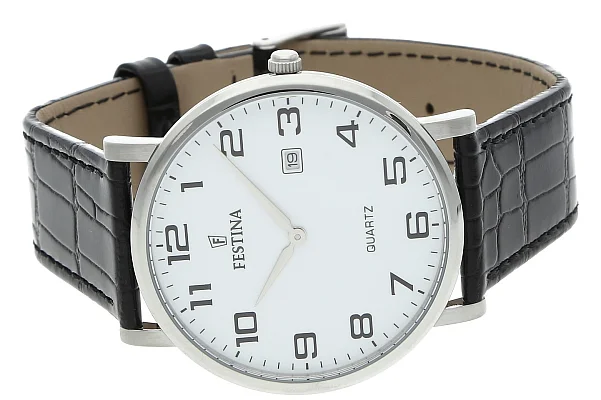 Festina Classic F16476/1