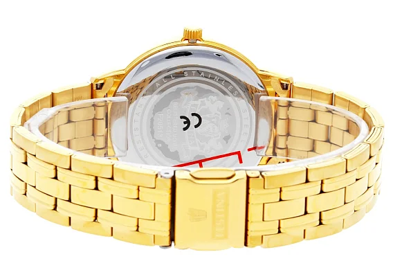 Festina Classic F20513/2