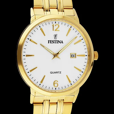 Festina Classic F20513/2