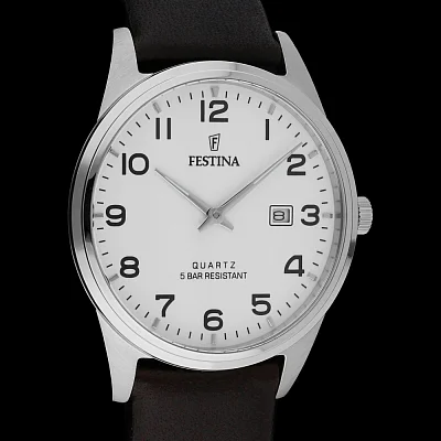 Festina Classic F20512/1