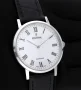  Zdjęcie 5 Festina Swiss Made Sapphire F20012/2