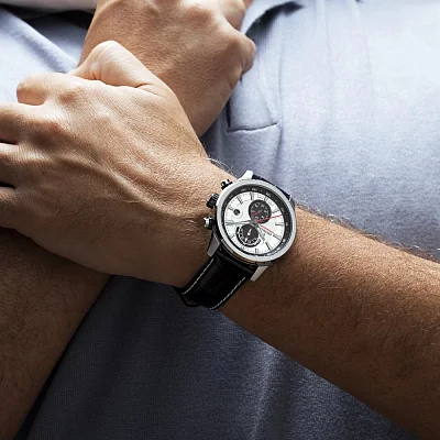 Festina Timeless Chronograph F20695/1