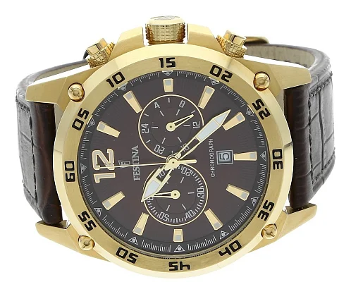 Festina Timeless Chronograph F16880/2