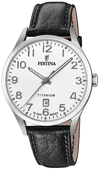 Festina Titanium F20467/1