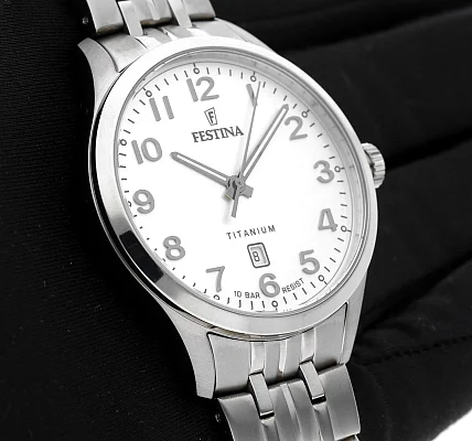 Festina Titanium F20466/1
