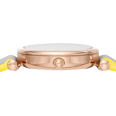 Fossil Carlie Mini ES4834