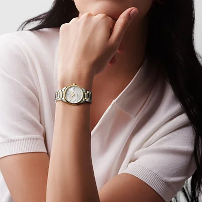 Longines Master Collection Lady Diamonds 18k Gold Caps L2.257.5.87.7