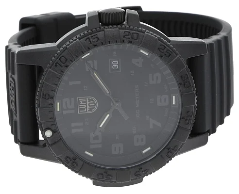 Luminox Leatherback Sea Turtle Giant 0320 Series Blackout XS.0321.BO.L