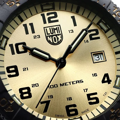 Luminox Leatherback Sea Turtle Giant 0320 Series Gold Dial XS.0325.GP