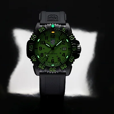 Luminox G Sea Lion 2050 Series X2.2067.1