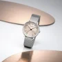  Zdjęcie 7 Mondaine Doppio Small Mesh Date MLE.33150.SM
