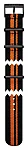 Zdjęcie zegarka T604036896