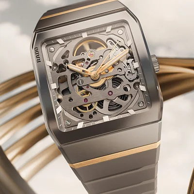 Rado Anatom Automatic Dial Skeleton Dial Plasma Ceramic R10206109
