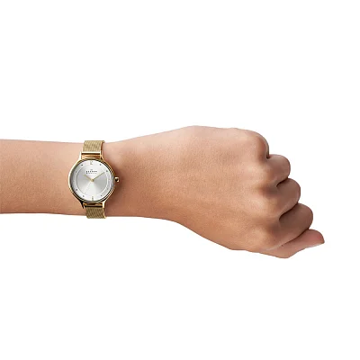 Skagen Anita Mesh SKW2150
