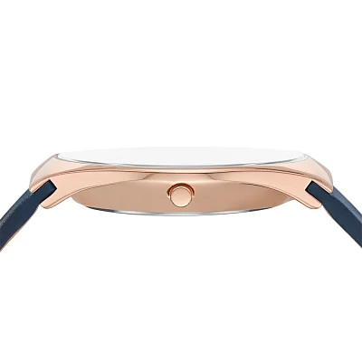 Skagen Signatur Gent Solar Leather SKW6834