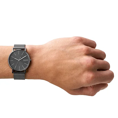 Skagen Signatur Gent Mesh SKW6577