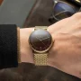  Zdjęcie 2 Sternglas Naos Edition Heritage Espresso Dial Yellow Gold PVD Bracelet S01-NAE21-MI05