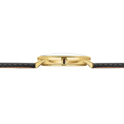 Sternglas Naos Edition Heritage Espresso Dial Black Leather Strap S01-NAE21-BR04