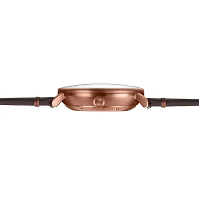 Sternglas Naos XL Automatic Alabaster Bronze Field Forest Green Strap S02-NX42-FI05