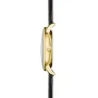  Zdjęcie 8 Sternglas Sedius Meca-Quartz Anthracite Sector Dial S01-SD04-HE03