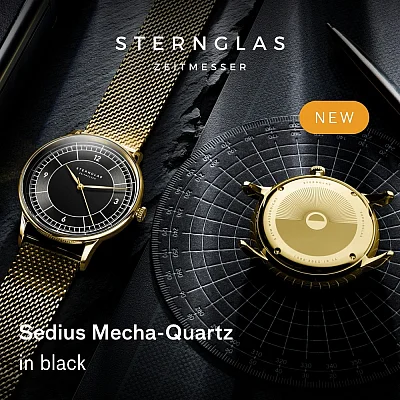 Sternglas Sedius Meca-Quartz Black Sector Dial Mesh S01-SD04-MI05