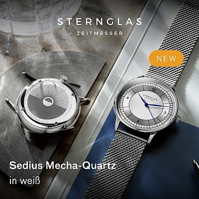 Sternglas Sedius Meca-Quartz Silver Sector Dial Mesh S01-SD01-MI04