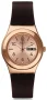  Zdjęcie 2 Swatch Irony Medium Brownee YLG701