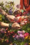  Zdjęcie 5 Swatch New Gent Meadow Flowers SO29G104