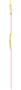  Zdjęcie 7 Swatch Skin Classic Biosourced India Rose 01 SS08Z101