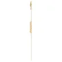  Zdjęcie 10 Swatch Skin Irony COCO HO BLU PROTEAM ATHLETES COLLECTION SYXG127