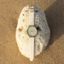  Zdjęcie 8 Swatch Skin Irony COCO HO BLU PROTEAM ATHLETES COLLECTION SYXG127