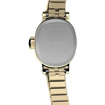 Timex Cavatina Mini 17mm Stainless Steel Expansion Band TW2Y47400